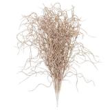 Sea Team 36-Pack Artificial Glitter Vine Twig Ornaments, Decorative Curly Beard Sticks, Glittery Stems, Picks, Branches for Christmas Tree, Small Vase, Holiday, Wedding, Party (12 Inches, Champagne) Sea Team 36-Pack Artificial Glitter Vine Twig Ornaments, Decorative Curly Beard Sticks, Glittery Stems, Picks, Branches for Christmas Tree, Small Vase, Holiday, Wedding, Party (12 Inches, Champagne)