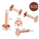 Hotop 50pcs Copper Rivet and Burr Washers for Leather Work #9 and #12 Brass Rivets Setter Install Setting Tool with Hole Punch Cutter Kit for Belts Wallets Collars Leather DIY Craft Supplies Hotop 50pcs Copper Rivet and Burr Washers for Leather Work #9 and #12 Brass Rivets Setter Install Setting Tool with Hole Punch Cutter Kit for Belts Wallets Collars Leather DIY Craft Supplies