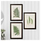 Framed Botanical Fern & Astragalus Print Set 22x18 (one damaged) Framed Botanical Fern & Astragalus Print Set 22x18 (one damaged)