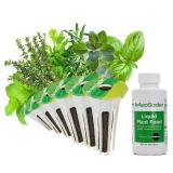 AeroGarden Assorted Italian Herb Seed pod Kit, 6-Pod AeroGarden Assorted Italian Herb Seed pod Kit, 6-Pod