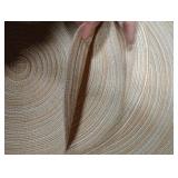 SHACOS Round Placemats Set of 6 Cotton Polyester Braided Place Mats 15 inch Heat Resistant Washable Table Mats for Kitchen Dining Party Natural Table Decor (Beige, 6) SHACOS Round Placemats Set of 6 Cotton Polyester Braided Place Mats 15 inch Heat Resistant Washable Table Mats for Kitchen Dining Party Natural Table Decor (Beige, 6)
