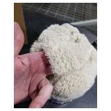 Bedsure GentleSoft Blankets Queen Size for Bed - Super Soft Cozy Blanket for Women Men Girls, Large Fuzzy Fleece Throw for Bedroom Decor, Neutral, 90x90 Inches Bedsure GentleSoft Blankets Queen Size for Bed - Super Soft Cozy Blanket for Women Men Girls, Large Fuzzy Fleece Throw for Bedroom Decor, Neutral, 90x90 Inches