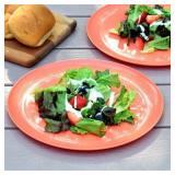 Youngever 10 Inch Plastic Plates, Large Plates, Dinner Plates, Set of 9 (Peach)