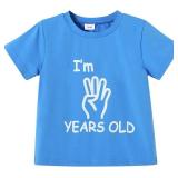 YOUNGER STAR Children Gray Young Wild Three Birthday Four Ever Wild Brother Twin Letter Print T-Shirts 3T 4T