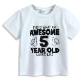 YOUNGER STAR Children Gray Young Wild Three Birthday Four Ever Wild Brother Twin Letter Print T-Shirts 3T 4T