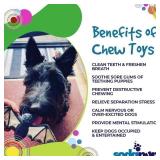 8 Never Been Used Sodapup Vampire Bat Ultra Durable Nylon Dog Chew Toys For Aggressive Chewers, Black 