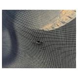 Wood Door With Glass Window - InterChangeable Screen Insert - 78” x 3’ - Contains blemishes see images