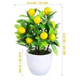 Amosfun Small Artificial Lemon Tree Faux Bonsai Plant with Pot 9.44X14.96X7.48In Decorative Fake Lemon Tree for Home Office Desk D Cor Amosfun Small Artificial Lemon Tree Faux Bonsai Plant with Pot 9.44X14.96X7.48In Decorative Fake Lemon Tree for Home Office Desk D Cor