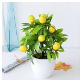 Amosfun Small Artificial Lemon Tree Faux Bonsai Plant with Pot 9.44X14.96X7.48In Decorative Fake Lemon Tree for Home Office Desk D Cor Amosfun Small Artificial Lemon Tree Faux Bonsai Plant with Pot 9.44X14.96X7.48In Decorative Fake Lemon Tree for Home Office Desk D Cor