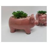 Pink Ceramic Pig Planters Set of 2 - Retail: $24