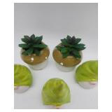 Garden Gnome and Succulent Plant Figurine Set - Retail: $18