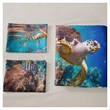 AILONEN Sea Turtle Bedding Set, King Size Ocean Turtle Themed Comforter Cover for Teens Boys and Girls (1 Quilt Cover 2 Pillowcases 3 Piece)