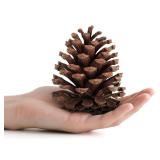 25 Pcs Large Natural Pine Cones for Crafts, 3\' to 4\' Tall Pine Cones Craft for Christmas, Table, Home Decor, Vase Fillers, Desk & Christmas Trees, Unscented Pinecones Crafts Ornament for Decorating