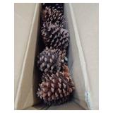25 Pcs Large Natural Pine Cones for Crafts, 3\' to 4\' Tall Pine Cones Craft for Christmas, Table, Home Decor, Vase Fillers, Desk & Christmas Trees, Unscented Pinecones Crafts Ornament for Decorating