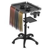 ZHOOGE Hairstylist Rolling Cart, Salon Trolley With Storage Platform and Hair Separator Stand, Coloring Tray With Dye Bowls and Tools, Black