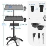 ZHOOGE Hairstylist Rolling Cart, Salon Trolley With Storage Platform and Hair Separator Stand, Coloring Tray With Dye Bowls and Tools, Black