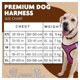 Murphy & Roxy No-Pull Dog Harness â Adjustable Vest Harness with Reflective Trim for Small to Medium Dog Breeds â Heavy-Duty and Comfortable for Walking, Training for Pets, Pink (Size S)
