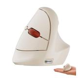 DAREU Ergonomic Vertical Wireless Mouse,2.4GHz / BT Optical Vertical Mice with Ergo Design for Comfort and Reduced Wrist Strain,3 Multi-Device Connectivity for Computer/PC/Laptop, Suit for Small Hand