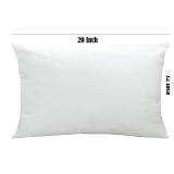 Dachshund Dog Throw Pillow Cover 12 x 20 Inches