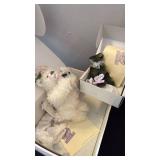 Annette Funicello collectible bears with box