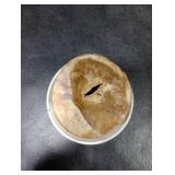 Brazilian Wood Plant,Mini Brazil Lucky Wood,Swelling Stage,Nearing Germination Lucky Tree,Budding Takes just 7-15 Days,Brazilian Tree Perfect for Home,Office Desktop Decoration (Without Panda Statue) Brazilian Wood Plant,Mini Brazil Lucky Wood,Swelling Stage,Nearing Germination Lucky Tree,Budding Takes just 7-15 Days,Brazilian Tree Perfect for Home,Office Desktop Decoration (Without Panda Statue)