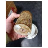 Brazilian Wood Plant,Mini Brazil Lucky Wood,Swelling Stage,Nearing Germination Lucky Tree,Budding Takes just 7-15 Days,Brazilian Tree Perfect for Home,Office Desktop Decoration (Without Panda Statue) Brazilian Wood Plant,Mini Brazil Lucky Wood,Swelling Stage,Nearing Germination Lucky Tree,Budding Takes just 7-15 Days,Brazilian Tree Perfect for Home,Office Desktop Decoration (Without Panda Statue)