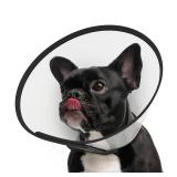 Adjustable Dog Cone Collar After Surgery to Stop Licking, E Collar for Medium Small Dogs, Pet Recovery Collar & Cone, Plastic Cone of Shame for Dogs, Dog Head Neck Cone (S-) - Retail: $15
