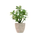 365 Blooming Decor 12' Artificial Jade Plant in Minimalist Gray Pot, Luxury Real-Touch Faux Succulent Crassula Ovata with Pebbles, Realistic Money Tree for Indoor Home & Office Decor No Assembly - Ret