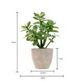 365 Blooming Decor 12' Artificial Jade Plant in Minimalist Gray Pot, Luxury Real-Touch Faux Succulent Crassula Ovata with Pebbles, Realistic Money Tree for Indoor Home & Office Decor No Assembly - Ret