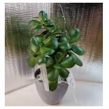 365 Blooming Decor 12' Artificial Jade Plant in Minimalist Gray Pot, Luxury Real-Touch Faux Succulent Crassula Ovata with Pebbles, Realistic Money Tree for Indoor Home & Office Decor No Assembly - Ret