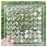 FUFenZHEN Seashell Display Box, 64 Grids Acrylic Magnetic Collecting Box, Transparent Storage Case for Shells, Beads, Jewelry (L-64 Cells, Round) FUFenZHEN Seashell Display Box, 64 Grids Acrylic Magnetic Collecting Box, Transparent Storage Case for Shells, Beads, Jewelry (L-64 Cells, Round)