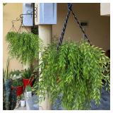 RECUTMS Artificial Weeping Willow 6Pcs,Plastic Leaves Twig Plants Greenery Fake Hanging Ivy Garland UV Resistant for Indoor Outdoor Home Garden Wall Baskets Wedding Party Table Planter Filler Decor RECUTMS Artificial Weeping Willow 6Pcs,Plastic Leaves Twig Plants Greenery Fake Hanging Ivy Garland UV Resistant for Indoor Outdoor Home Garden Wall Baskets Wedding Party Table Planter Filler Decor