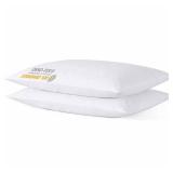 iFaon Thin Flat Slim Ultra Soft Bed Pillows Queen Size Set of 2 Pack for Sleeping, Bed Pillow for Stomach Back and Side Sleepers, Machine Washable 20x28 inches iFaon Thin Flat Slim Ultra Soft Bed Pillows Queen Size Set of 2 Pack for Sleeping, Bed Pillow for Stomach Back and Side Sleepers, Machine Washable 20x28 inches