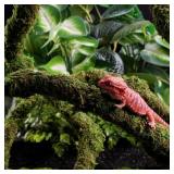 USMOLA Moss Vine for Reptiles, Bendable Climbing Vines Reptile Tank Accessories, Natural Moss Rope for Leopard Gecko, Lizard, Snake, Chameleon, Frog Terrarium Decor (Jungle Green, 9.8 FT) USMOLA Moss Vine for Reptiles, Bendable Climbing Vines Reptile Tank Accessories, Natural Moss Rope for Leopard Gecko, Lizard, Snake, Chameleon, Frog Terrarium Decor (Jungle Green, 9.8 FT)