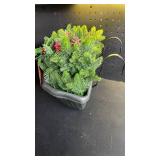 UV-Resistant Outdoor Artificial Pine and Holly Arrangement UV-Resistant Outdoor Artificial Pine and Holly Arrangement