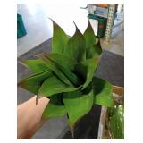 Ttranewsoo Fake Plants Artificial Agave Plants,Large UV Resistant Fake Agave Planters for Indoor and Outdoor Decorating Tropical Plant Succulents Greenery Indoor Decor13.8 (2Pack, Dark Green) Ttranewsoo Fake Plants Artificial Agave Plants,Large UV Resistant Fake Agave Planters for Indoor and Outdoor Decorating Tropical Plant Succulents Greenery Indoor Decor13.8 (2Pack, Dark Green)