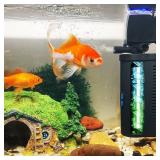 Aquarium Filter for 10-45 Gallon Tank, U-V Fish Tank Green Clean Machine Submersible Powerful Pump Canister Filter 158GPH for Pond Turtle Tank Saltwater Freshwater Crystal Clear Green Killing Aquarium Filter for 10-45 Gallon Tank, U-V Fish Tank Green Clean Machine Submersible Powerful Pump Canister Filter 158GPH for Pond Turtle Tank Saltwater Freshwater Crystal Clear Green Killing