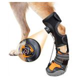 YAQUHO No Knuckling Brace for Dogs - Drop Foot Support with Adjustable Reel, Corrective Outdoor Pet Shoes - Helps Lift Toes for Nerve Conditions, Arthritis & Mobility Issues (M) YAQUHO No Knuckling Brace for Dogs - Drop Foot Support with Adjustable Reel, Corrective Outdoor Pet Shoes - Helps Lift Toes for Nerve Conditions, Arthritis & Mobility Issues (M)