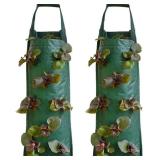 2 PACK 3-Gallon Strawberry Grow Bags Green Grow Sacks