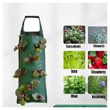 2 PACK 3-Gallon Strawberry Grow Bags Green Grow Sacks