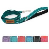 Pet & Posh Reflective Dog Leash - Premium Neoprene Padded Leash, Adjustable & Breathable Nylon for Safety and Style (Teal, 4 ft Narrow)
