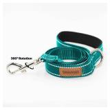 Pet & Posh Reflective Dog Leash - Premium Neoprene Padded Leash, Adjustable & Breathable Nylon for Safety and Style (Teal, 4 ft Narrow)
