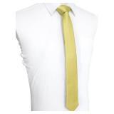 JEMYGINS 2.4' Solid Color Skinny Tie Slim Necktie for Men