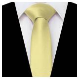 JEMYGINS 2.4' Solid Color Skinny Tie Slim Necktie for Men