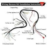 PRO BAT ATV Quad Complete Electrics AC Wire Harness Kit with CG-8 Stator 6-Pin AC CDI Multi-Functional ATV Switch Ignition Coil Solenoid Relay Spark Plug for 150cc 200cc 250cc 300cc Zongshen Lifan