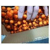 Artificial Fall Berry Stems Branches, 8.6 Inch Faux Orange Holly Fall Berry Picks and Sprays, Falls Floral Picks Ornaments for Autumn Thanksgiving Wreath Table Vase Centerpiece DIY Decorations