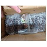 TURSTIN 8 Pieces Furniture Legs 3 Inches Round Solid Wood Furniture Feet with M8 T-Nuts Couch Legs Sofa Leg Replacement Leg for Armchair, Cabinet, Chair, Dresser or Home DIY Projects, Brown