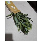 Briful Eucalyptus Stems 39.5 