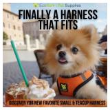 EcoBark Step in Dog Harness - Reflective Soft Luxurious Mesh Dog Harnesses for XXS, XS, Small, and Medium Dogs Eco-Friendly Comfort Secure Halter No Pull Adjustable Pet Vest (Orange, Medium)