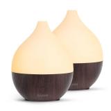SALKING Essential Oil Diffuser (Set of 2 Dark), 100ml Small Ultrasonic Aromatherapy Diffuser for Essential Oils, Auto Shut-Off, Cool Mist Humidifier with Warm White Light, for Office Home